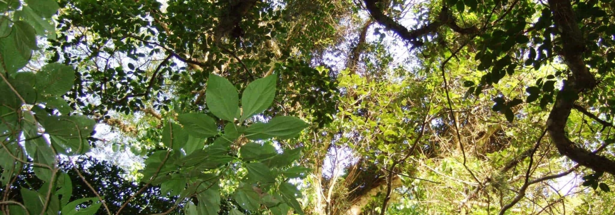 Ecoturismo em Ilhabela