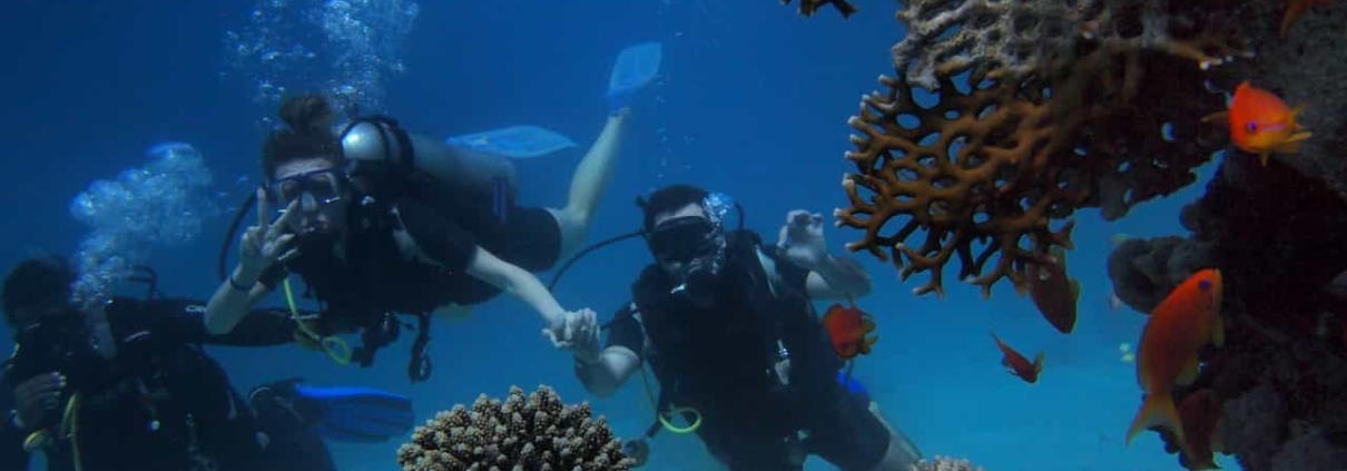 mergulho em ilhabela